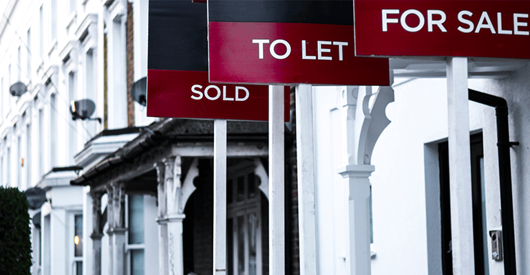 A row of terraced houses with different types of occupancy signs - medium large