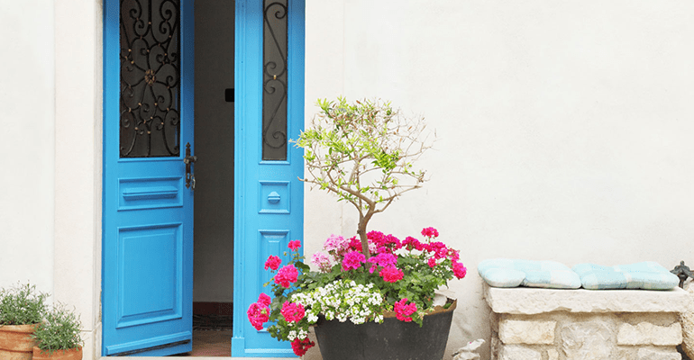 blue door to a property with a pot of colourful plants in front - l