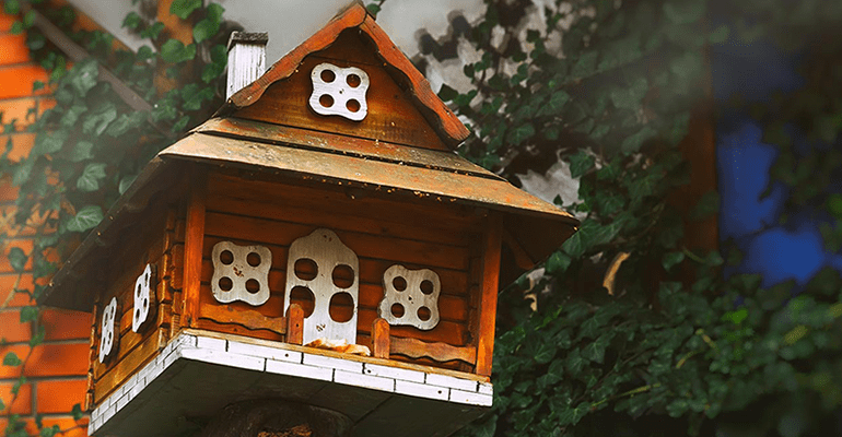 brown treehouse in trees - l