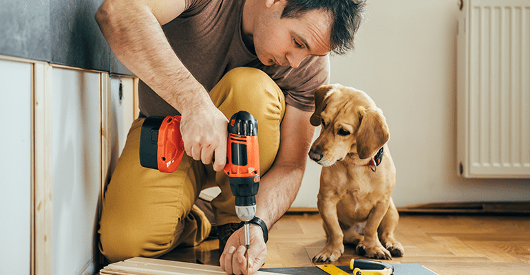 Man doing renovation work at home together with his small yellow dog - l