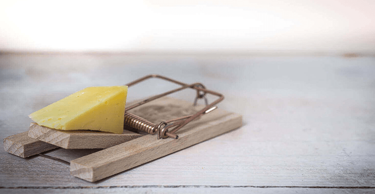 piece of cheese resting on top of a wooden mouse trap - l