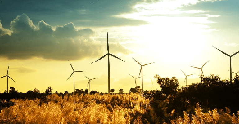 Sunny field with wind turbines.