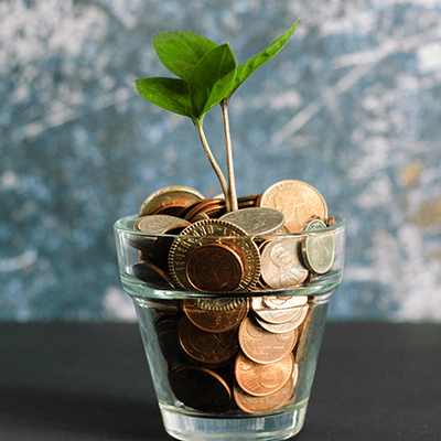 glass full of coins with a plant shoot growing out of it - l