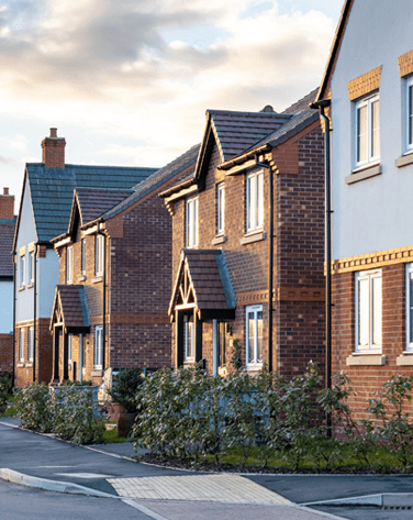 Row of new build houses in the evening sun